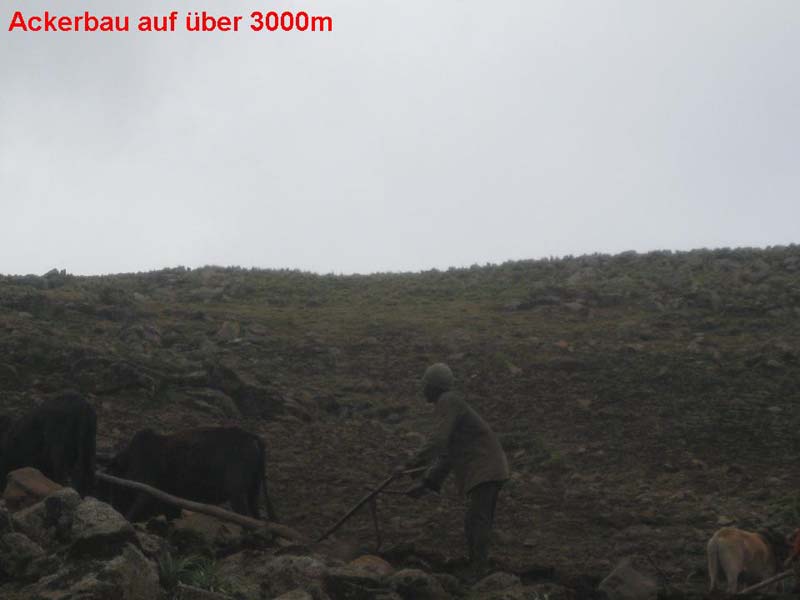 Folie156