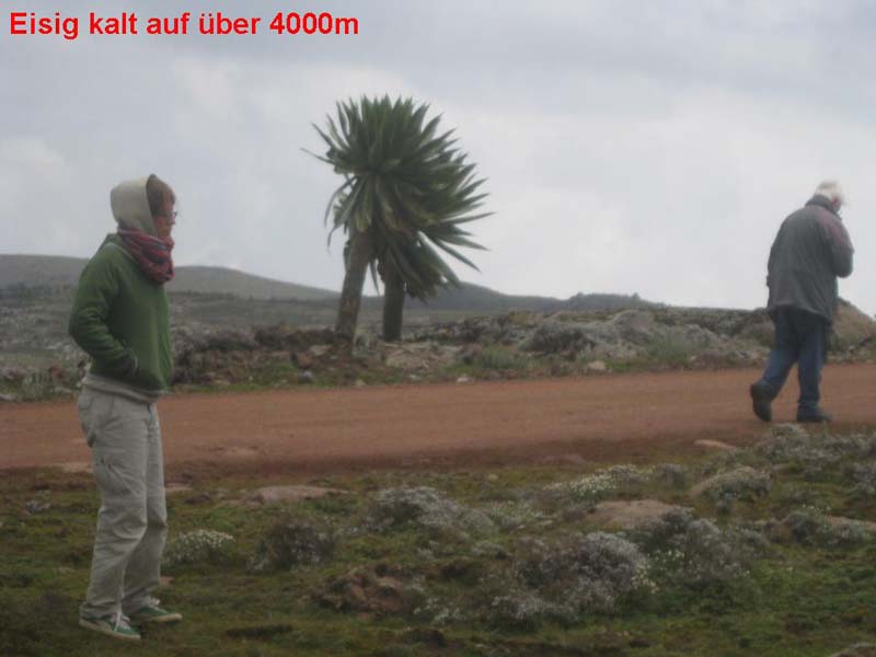 Folie205