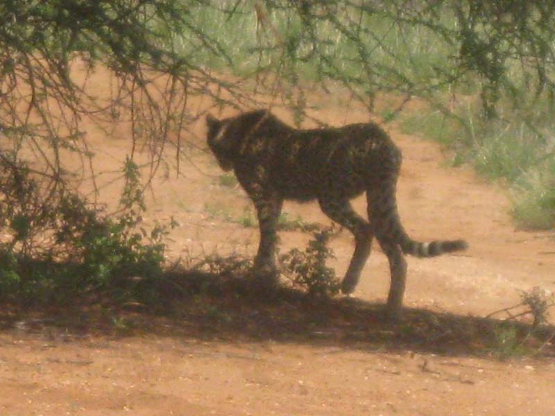 Folie271