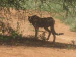 Folie271